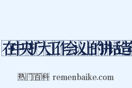 在中央扩大工作会议上的讲话造句是什么意思的图片